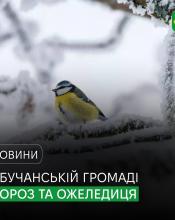У Бучанській громаді мороз та ожеледиця.