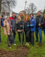 Солодка алея у Бучі: у районі Склозаводський висадили дерева та кущі Солодка алея у Бучі: у районі Склозаводський висадили дерева та кущі