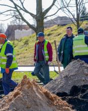 Зелене оновлення Бучі: на території храму Святого Апостола Андрія Первозванного висаджено нові дерева