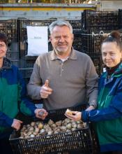 100 000 тюльпанів — такий подарунок отримала Бучанська громада від Нідерландів