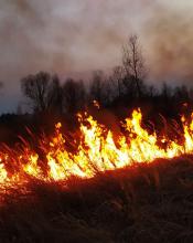 Шановні громадяни, рятувальники Київщини б’ють на сполох! Шановні громадяни, рятувальники Київщини б’ють на сполох!
