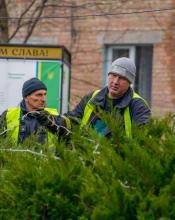 На Київській площі у Бучі розпочали встановлення головної різдвяної ялинки. На Київській площі у Бучі розпочали встановлення головної різдвяної ялинки.