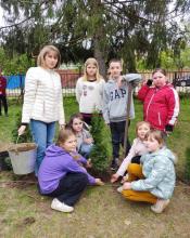 Символ вічної пам'яті: у Бабинцях висадили «Дерево Героя»