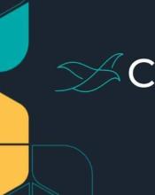 Платформа “Свідок” - воєнний щоденник українців, що збирає докази воєнних злочинів росіян для Міжнародного кримінального суду