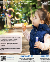 ЗМІНЕНО МІНІМАЛЬНИЙ РЕКОМЕНДОВАНИЙ РОЗМІР АЛІМЕНТІВ ЗМІНЕНО МІНІМАЛЬНИЙ РЕКОМЕНДОВАНИЙ РОЗМІР АЛІМЕНТІВ