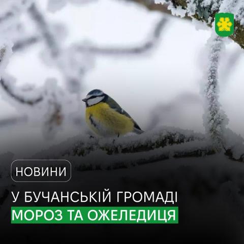 У Бучанській громаді мороз та ожеледиця.