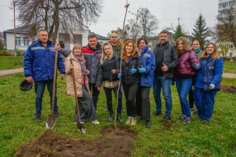 Солодка алея у Бучі: у районі Склозаводський висадили дерева та кущі