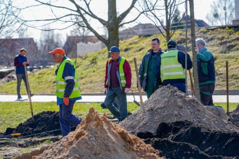 Зелене оновлення Бучі: на території храму Святого Апостола Андрія Первозванного висаджено нові дерева Зелене оновлення Бучі: на території храму Святого Апостола Андрія Первозванного висаджено нові дерева