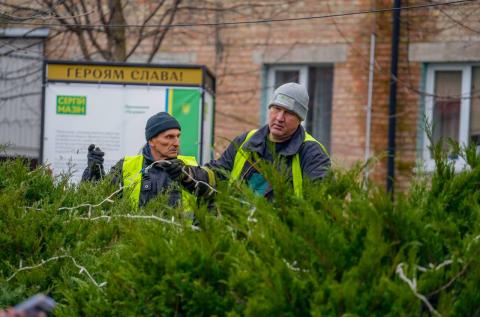 На Київській площі у Бучі розпочали встановлення головної різдвяної ялинки.