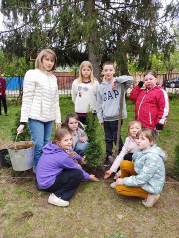 Символ вічної пам'яті: у Бабинцях висадили «Дерево Героя»