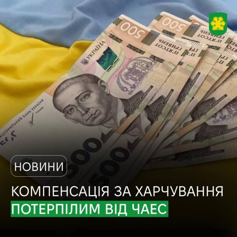 Потерпілі від аварії на ЧАЕС, які проживають у Бучанській громаді, отримають компенсацію за харчування Потерпілі від аварії на ЧАЕС, які проживають у Бучанській громаді, отримають компенсацію за харчування