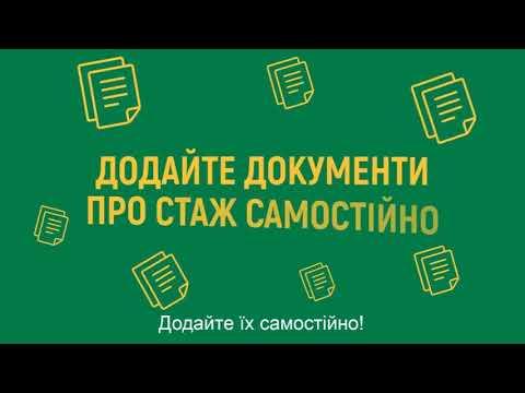 Вбудована мініатюра для Електронна трудова книжка