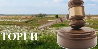 ПРОВЕДЕННЯ ЗЕМЕЛЬНИХ ТОРГІВ У ФОРМІ АУКЦІОНУ З ПРОДАЖУ ПРАВА ОРЕНДИ ЗЕМЕЛЬНОЇ ДІЛЯНКИ ПРОВЕДЕННЯ ЗЕМЕЛЬНИХ ТОРГІВ У ФОРМІ АУКЦІОНУ З ПРОДАЖУ ПРАВА ОРЕНДИ ЗЕМЕЛЬНОЇ ДІЛЯНКИ