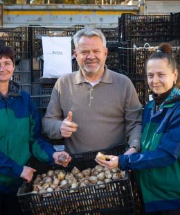 100 000 тюльпанів — такий подарунок отримала Бучанська громада від Нідерландів