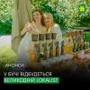У Бучі відбудеться Великодній Lokalist – фестиваль для кожного.