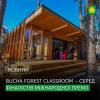 Bucha Forest Classroom – серед фіналістів міжнародної премії #ForOurPlanet.